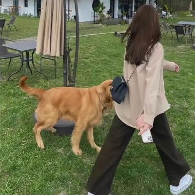 没人了解我